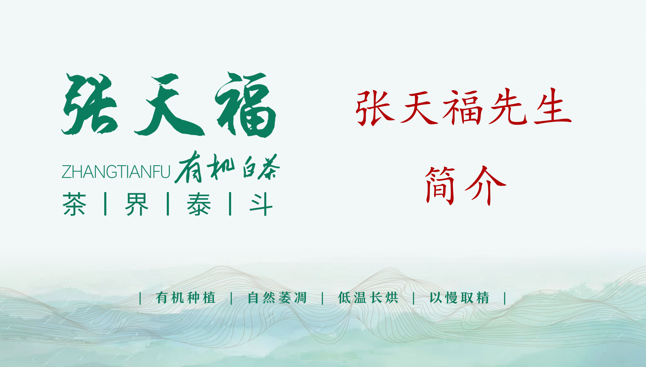 茶界泰斗---張天福簡介
