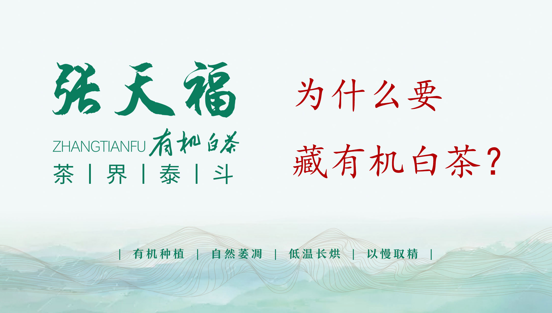 為什么要藏有機白茶