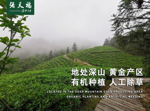 微信截圖_20200516103007.png