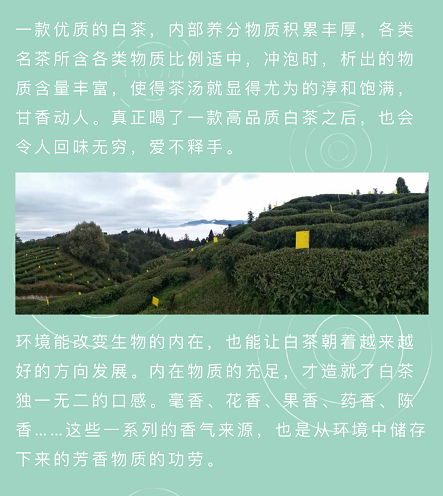 微信截圖_20200516104510.png