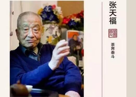 茶界泰斗——張天福（1）
