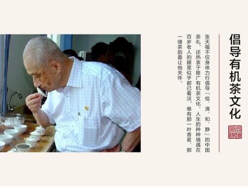 茶界泰斗——張天福（2）